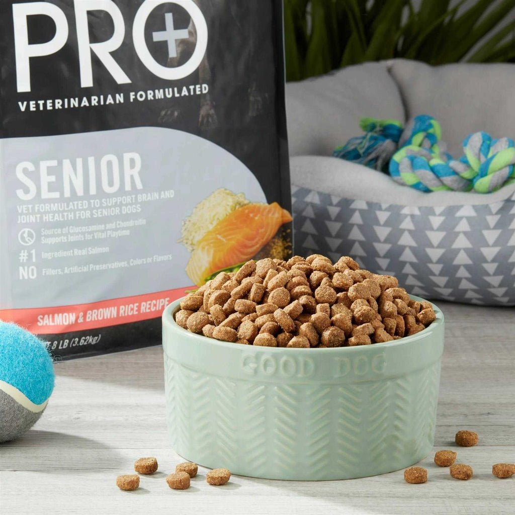 Salmon & Brown Rice Recipe Dry Dog Food C6438