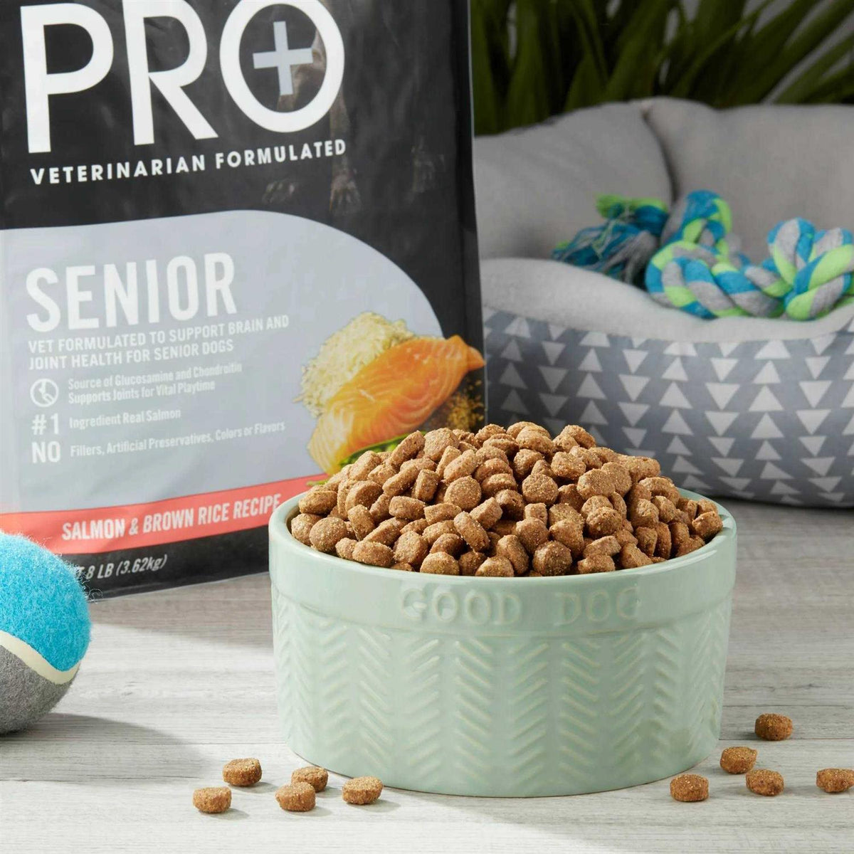 Salmon & Brown Rice Recipe Dry Dog Food C6438