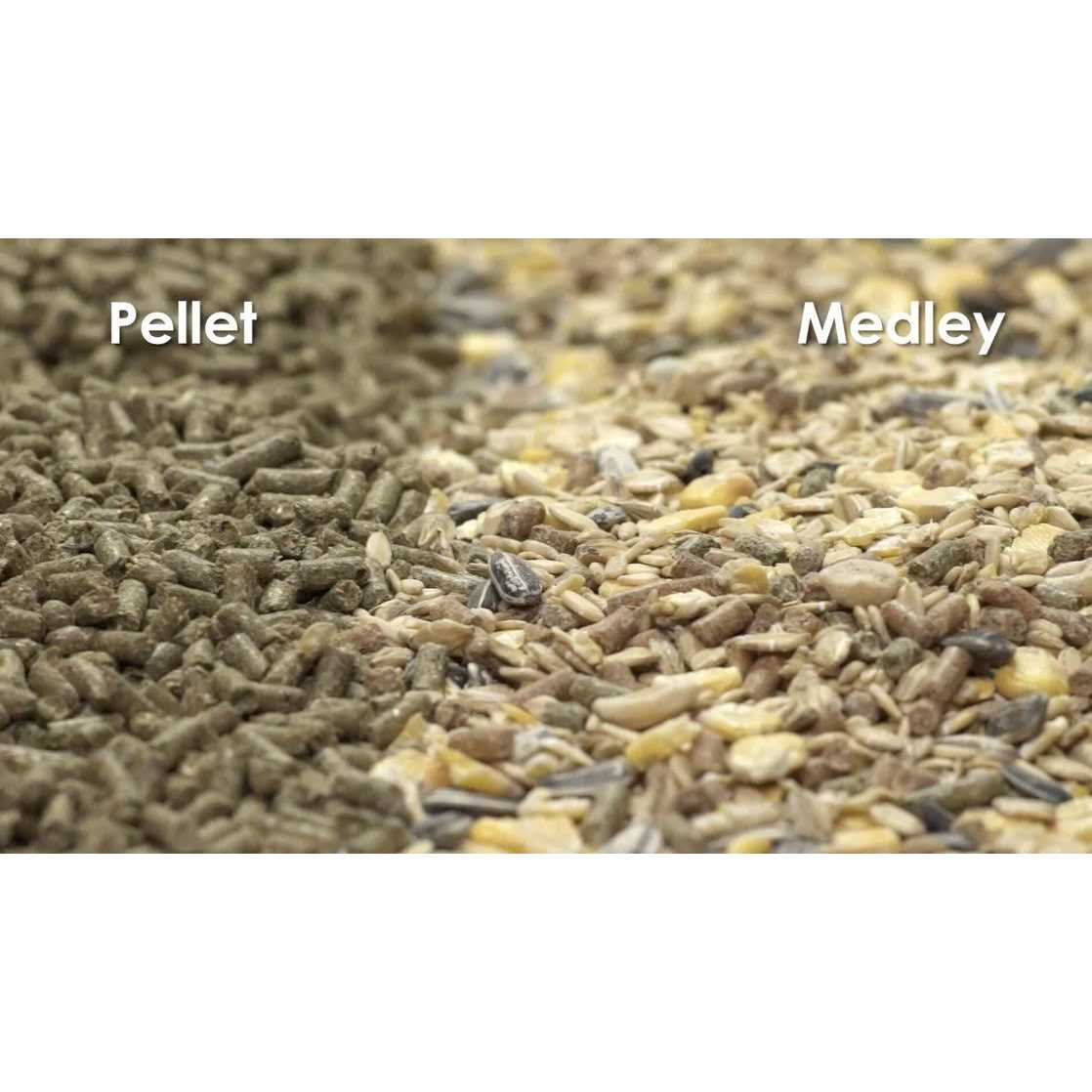 Mouse Rat Food F3858