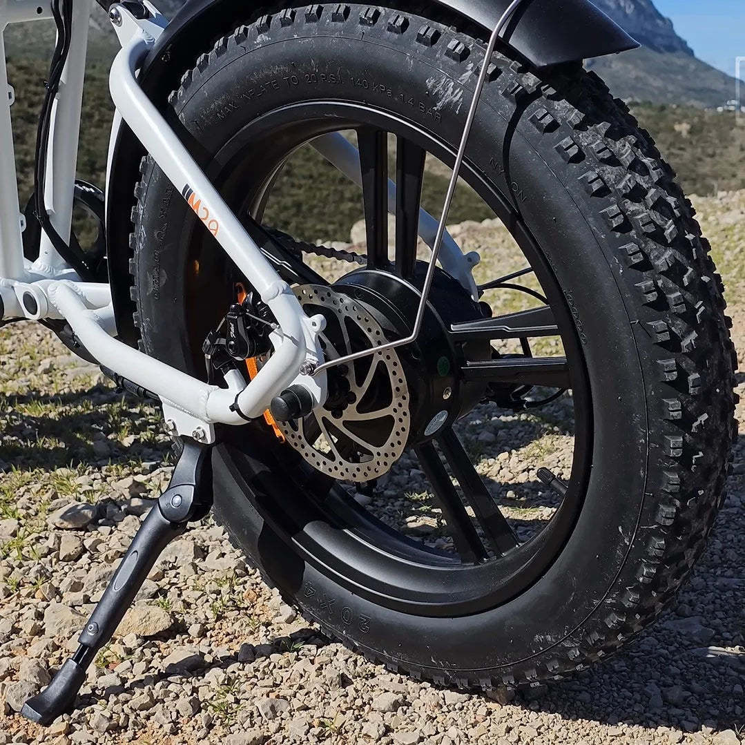750W 20" Fat Tire Electric Bike with 48V/26Ah Battery F210780