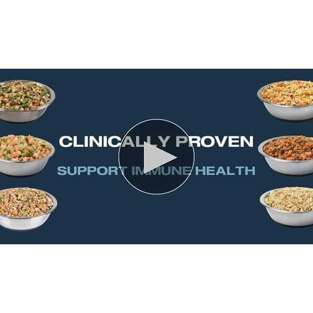 Fresh Frozen Dog Food G386