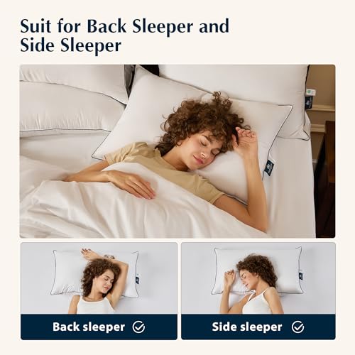 King Size Feather and Down Cotton Bed Pillows 2 Pack N9367