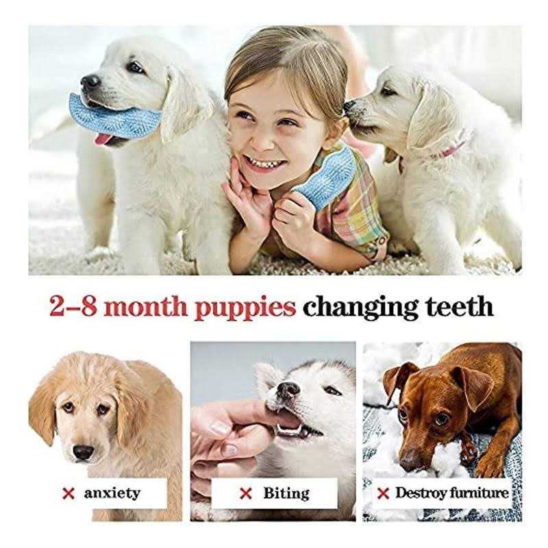 Frozen 3 Pack Puppy Chew Toys G964