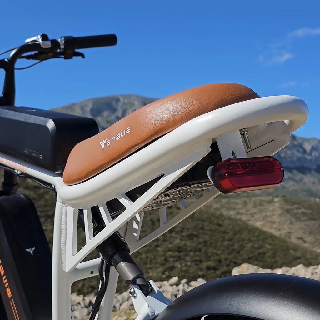 750W 20" Fat Tire Electric Bike with 48V/26Ah Battery F210780