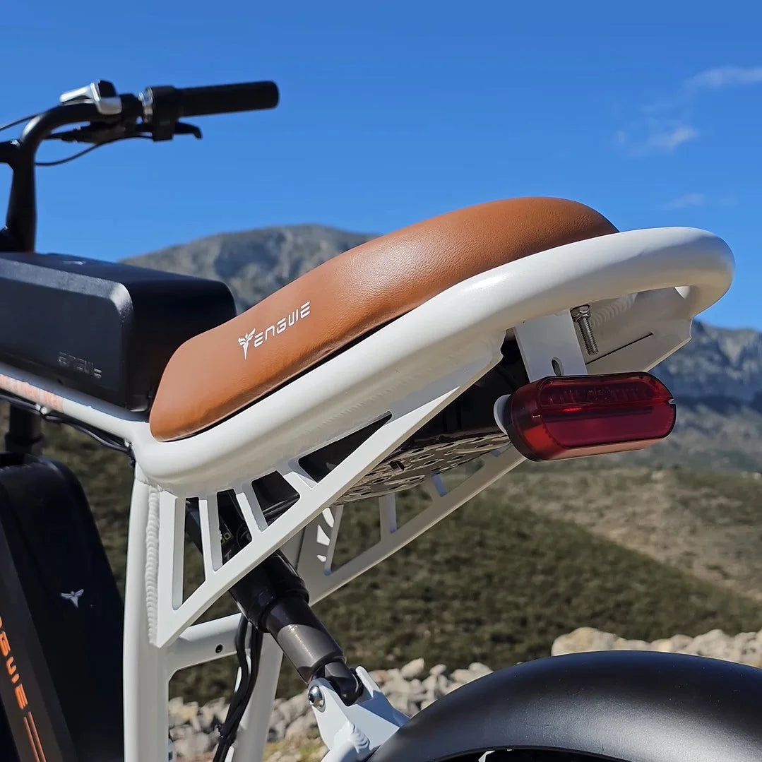 750W 20" Fat Tire Electric Bike with 48V/26Ah Battery F210780
