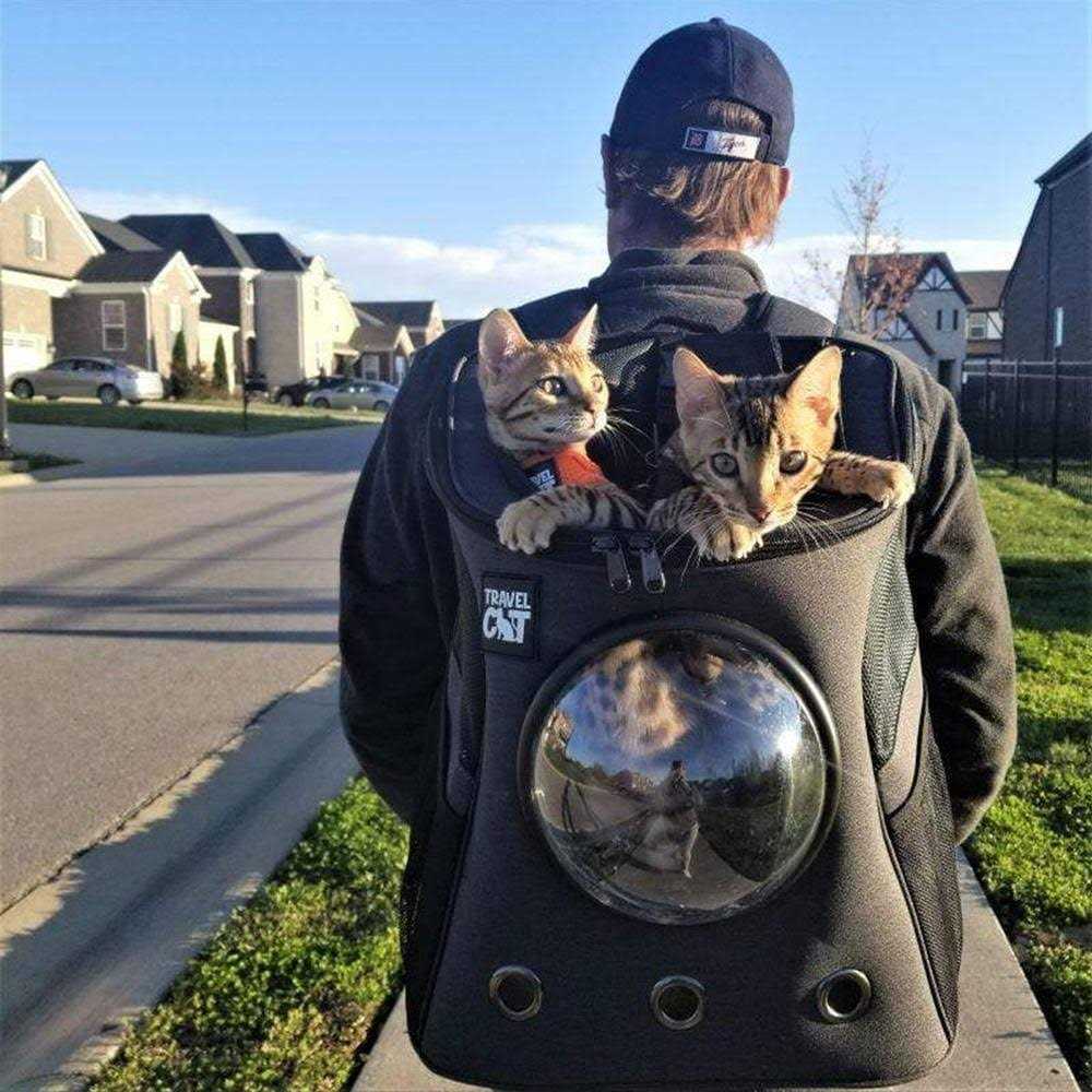 Cat Backpack U92004