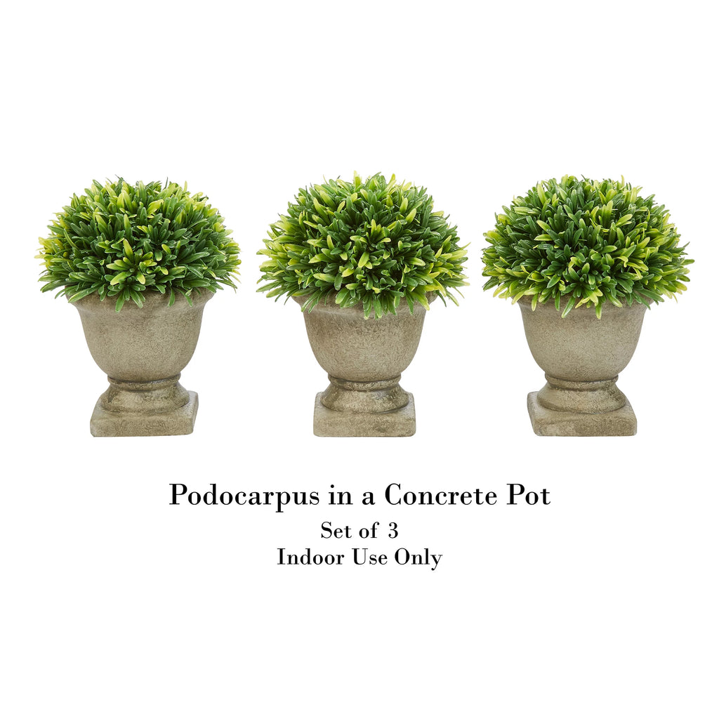 Artificial Podocarpus Grass Plant in Concrete Pot Set of 3 J988