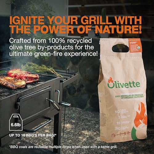 Organic Charcoal Briquettes, 6.6 lb. 2-Bag Pack C690