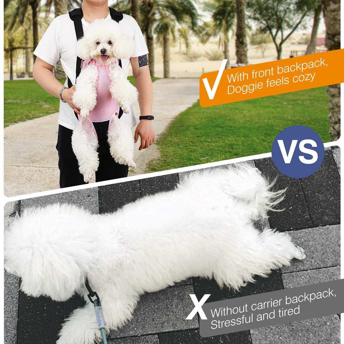 Adjustable Pet Carrier Backpack B550588