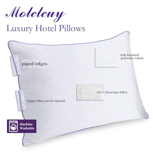 King Size Set of 2 Down Alternative Microfiber Bed Pillows Z279759
