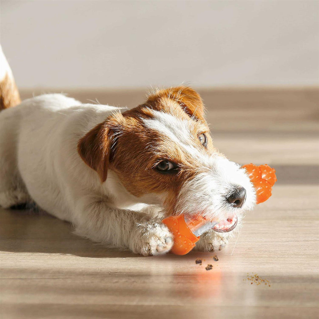 Bacon Dog Toy O125