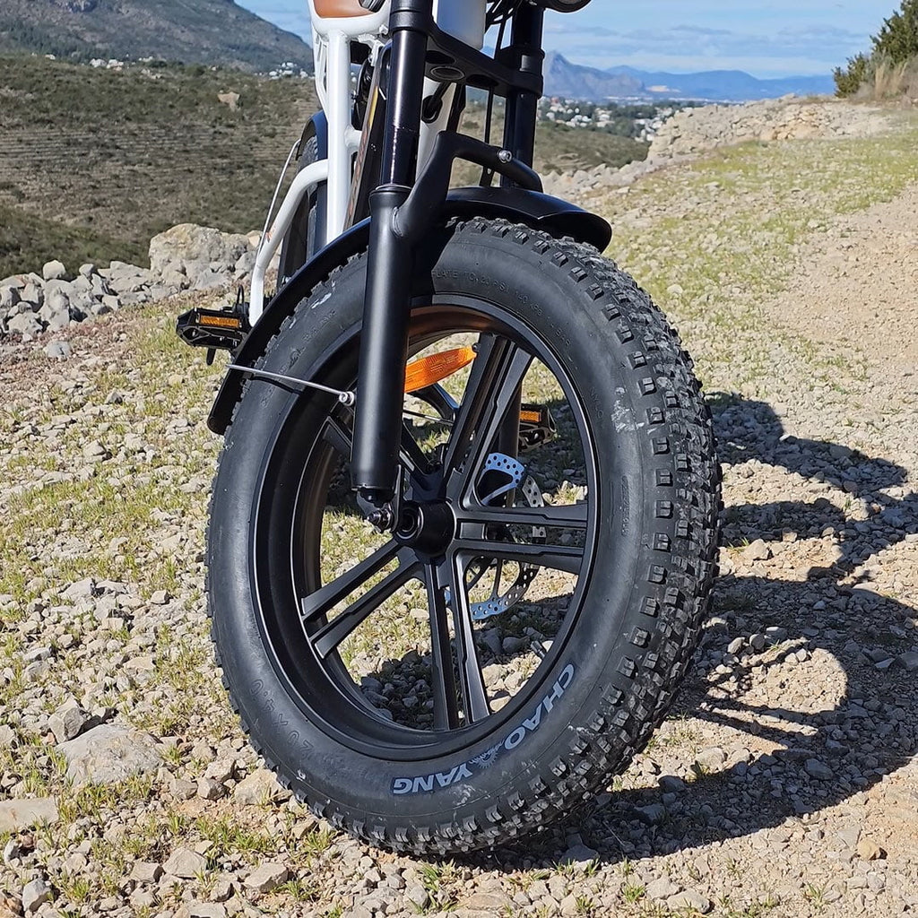 750W 20" Fat Tire Electric Bike with 48V/26Ah Battery F210780