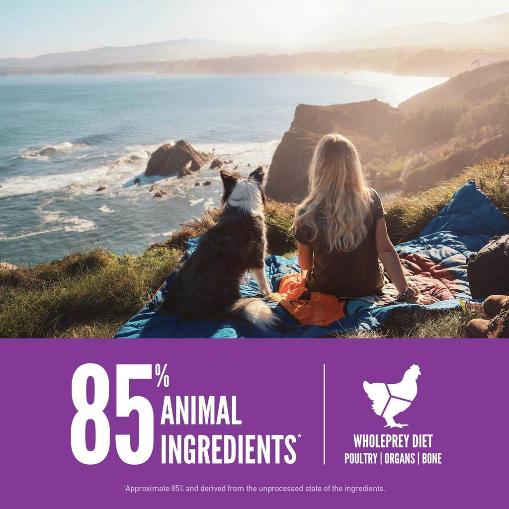 Large Breed Dry Dog Food O6422