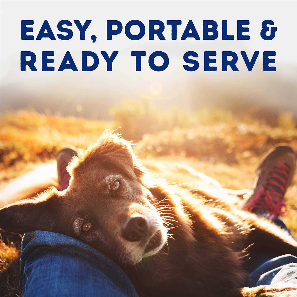 Savory Duck & Pumpkin Recipe Wet Dog Food T27138