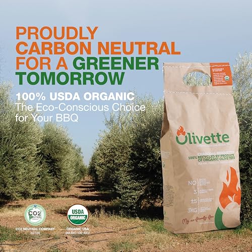 Organic Charcoal Briquettes, 6.6 lb. 2-Bag Pack C690