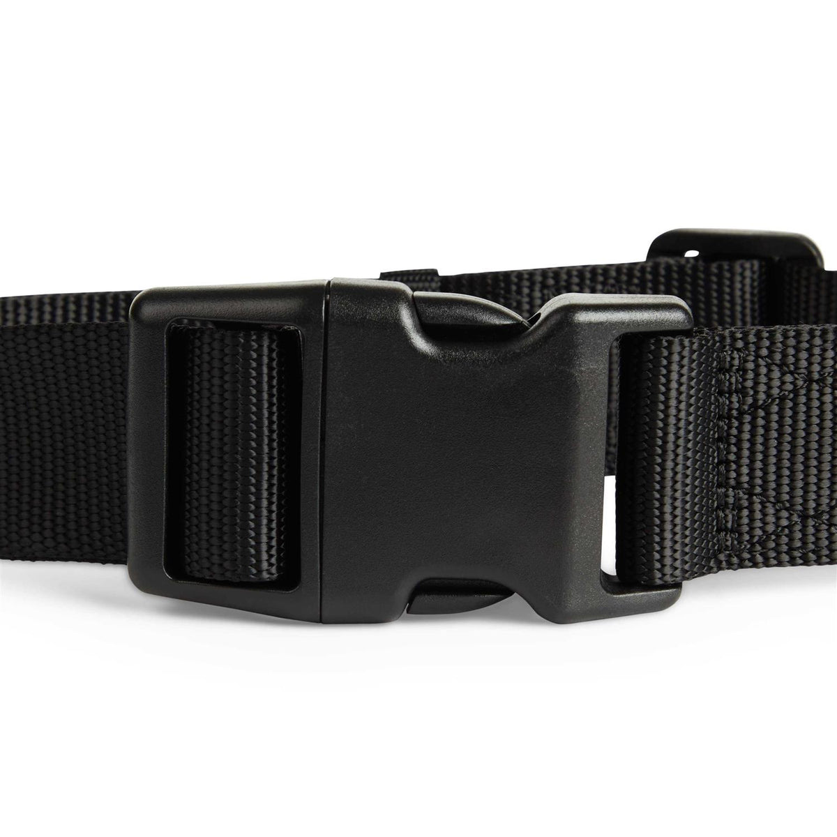Adjustable Dog Collar R962967
