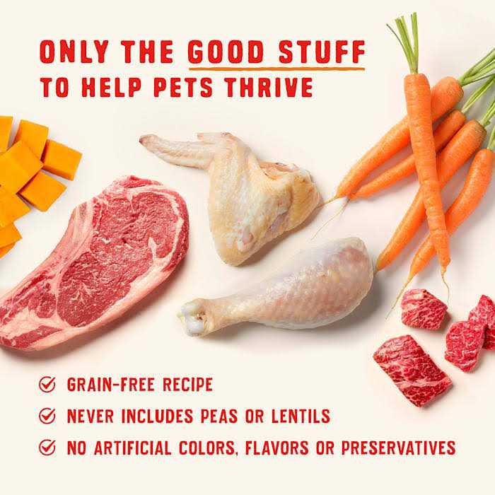 High Protein Chicken Stew Wet Dog Food B106