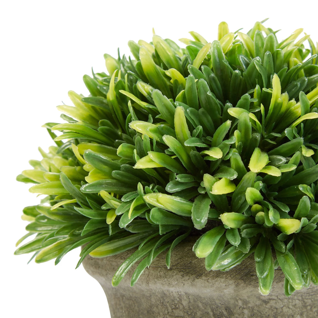 Artificial Podocarpus Grass Plant in Concrete Pot Set of 3 J988