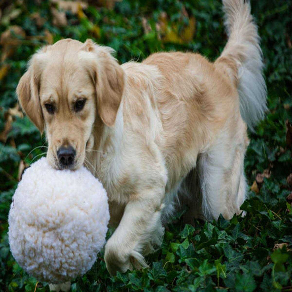 HuggleFleece Ball Dog Toy E7268