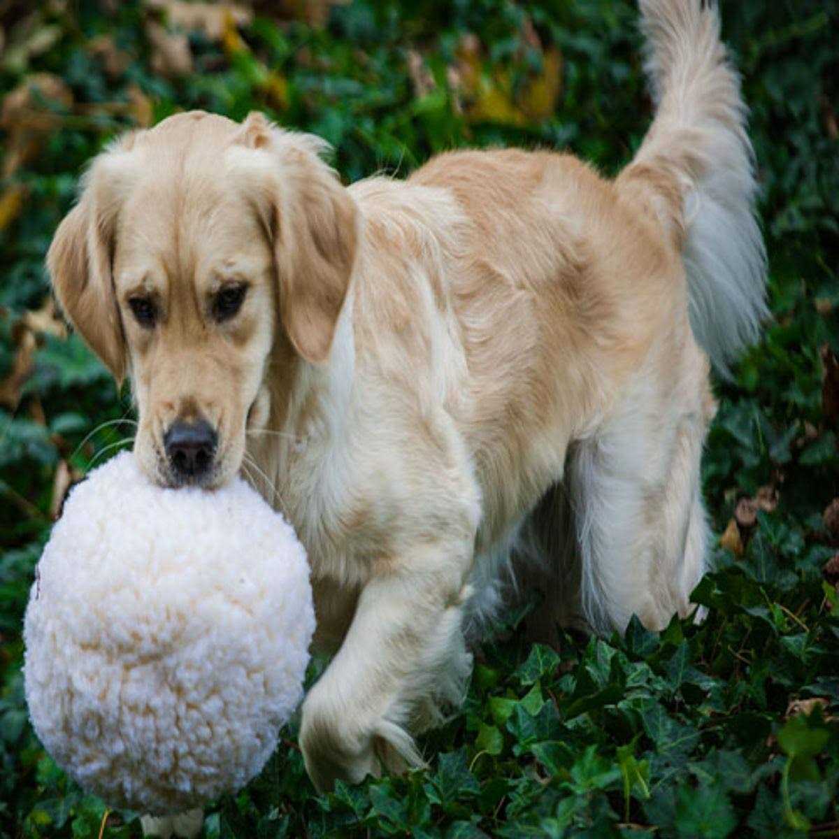 HuggleFleece Ball Dog Toy E7268
