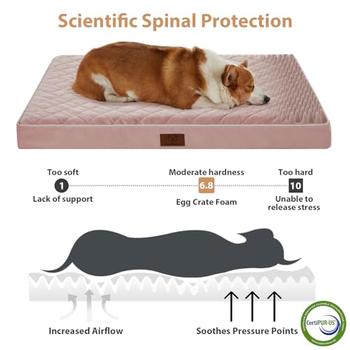 XL Waterproof Dog Bed with Removable Washable Cover A7878