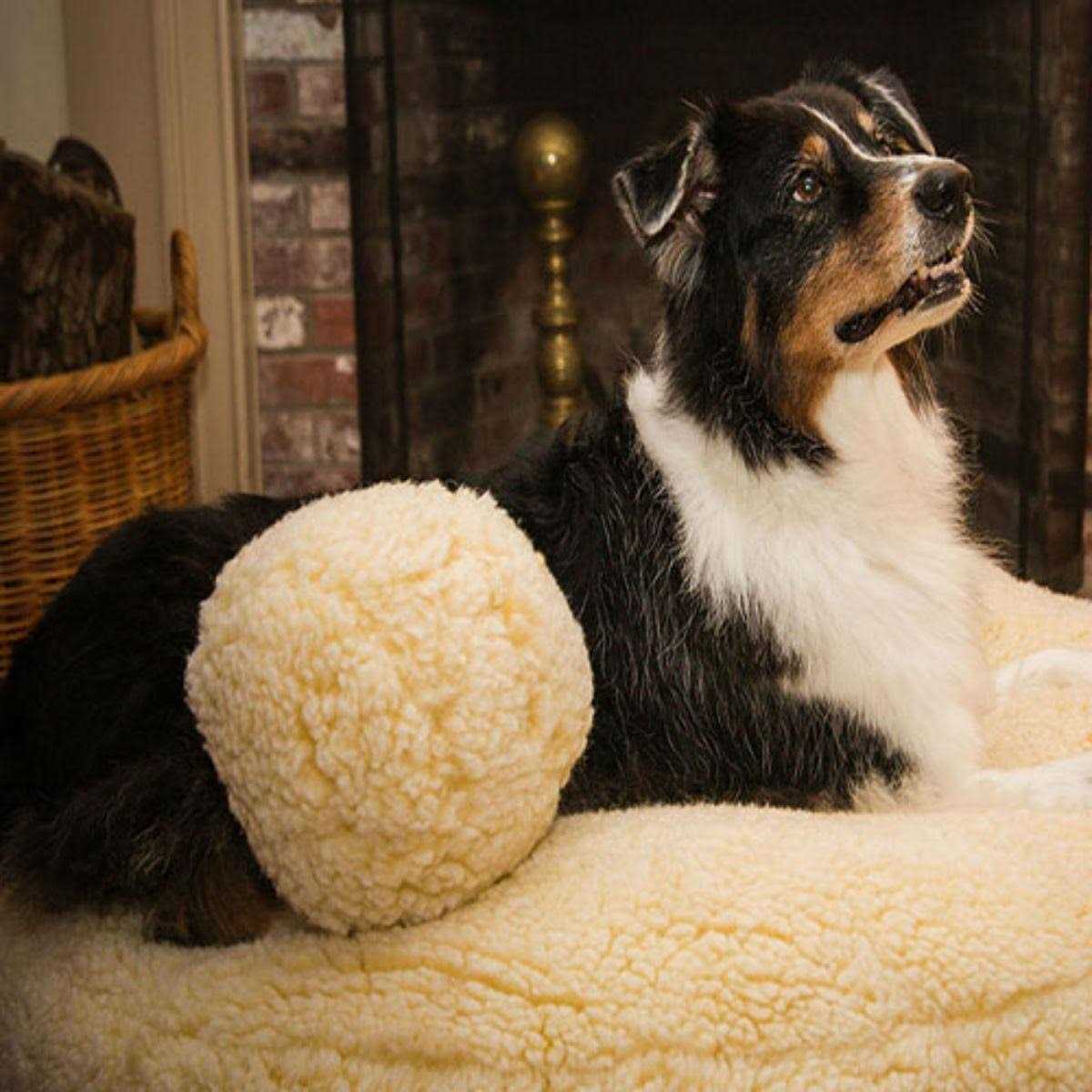 HuggleFleece Ball Dog Toy E7268