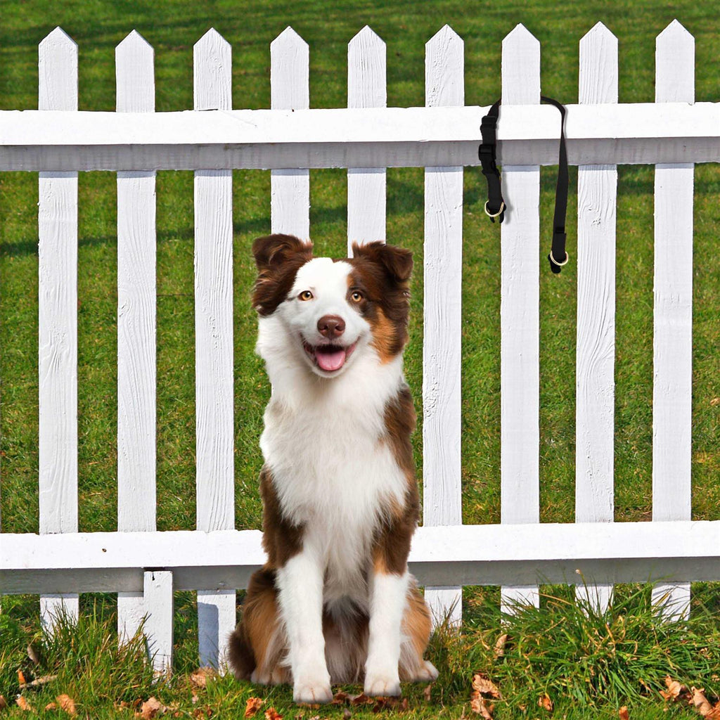 Break-Away Dog Collar X639