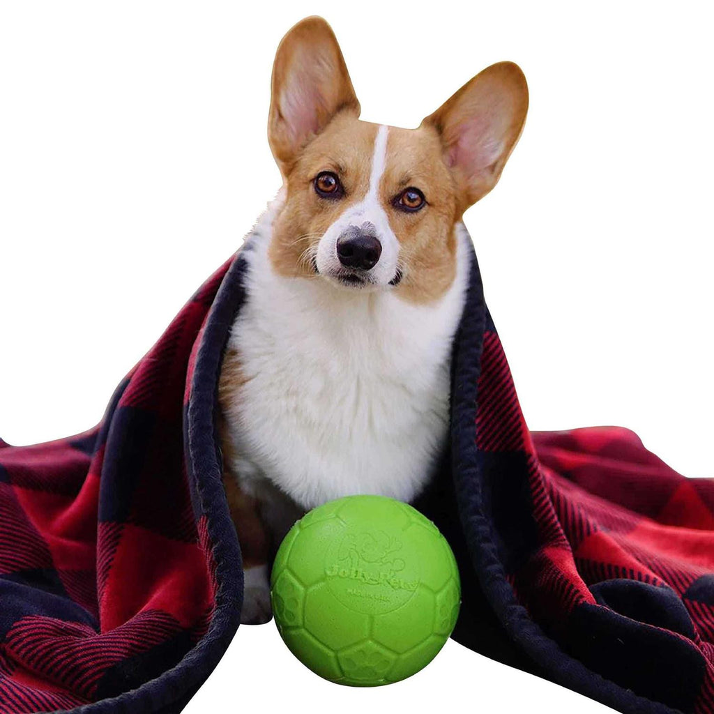 Soccer Ball Pet Supplies B94532