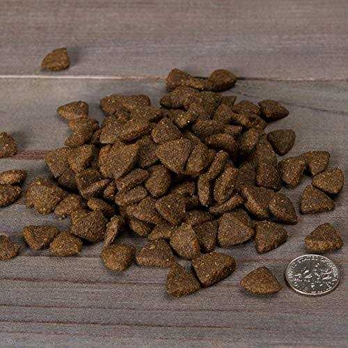 Grain-Free Trout & Sweet Potato Dry Dog Food O384
