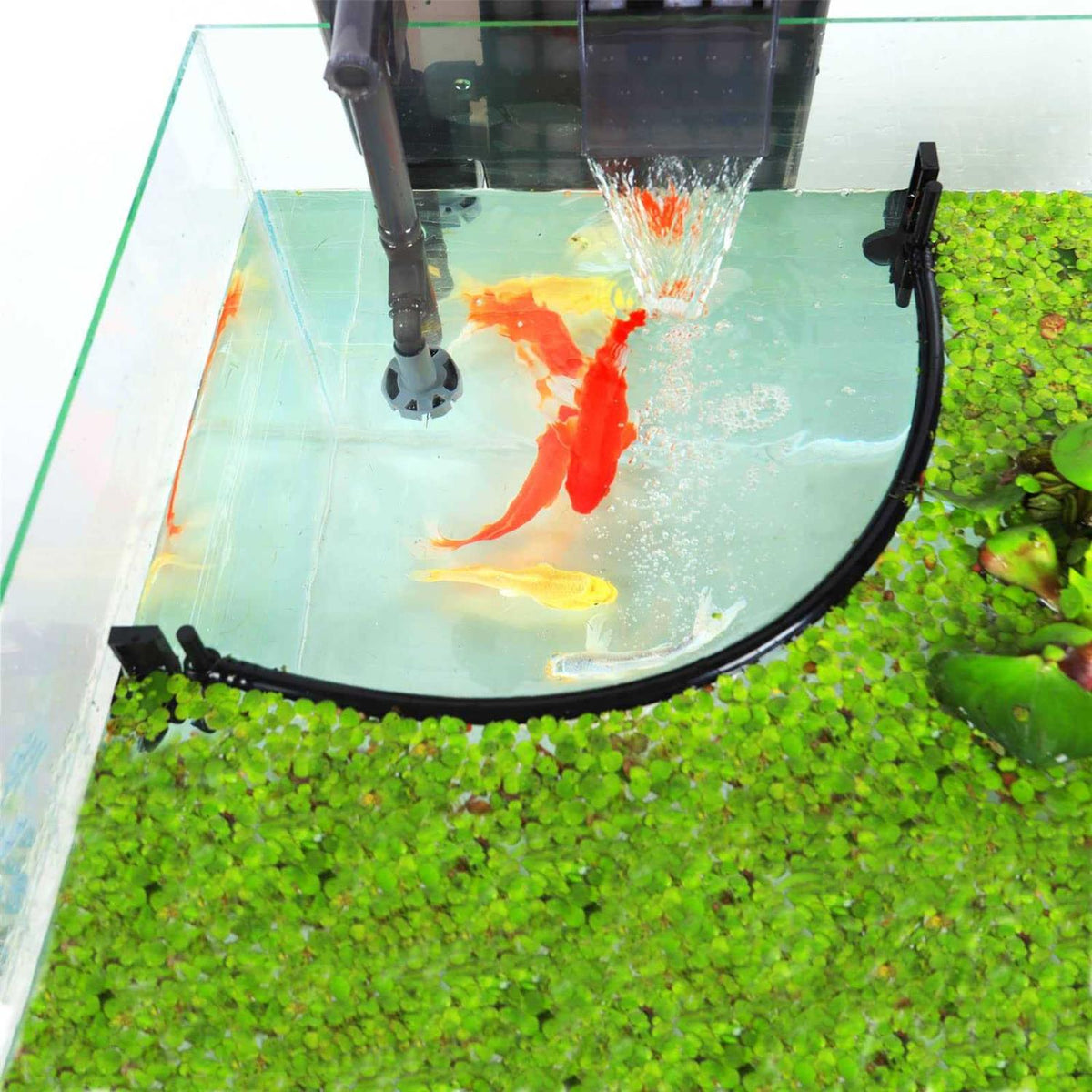 Aquarium Floating Plant Corral O75543