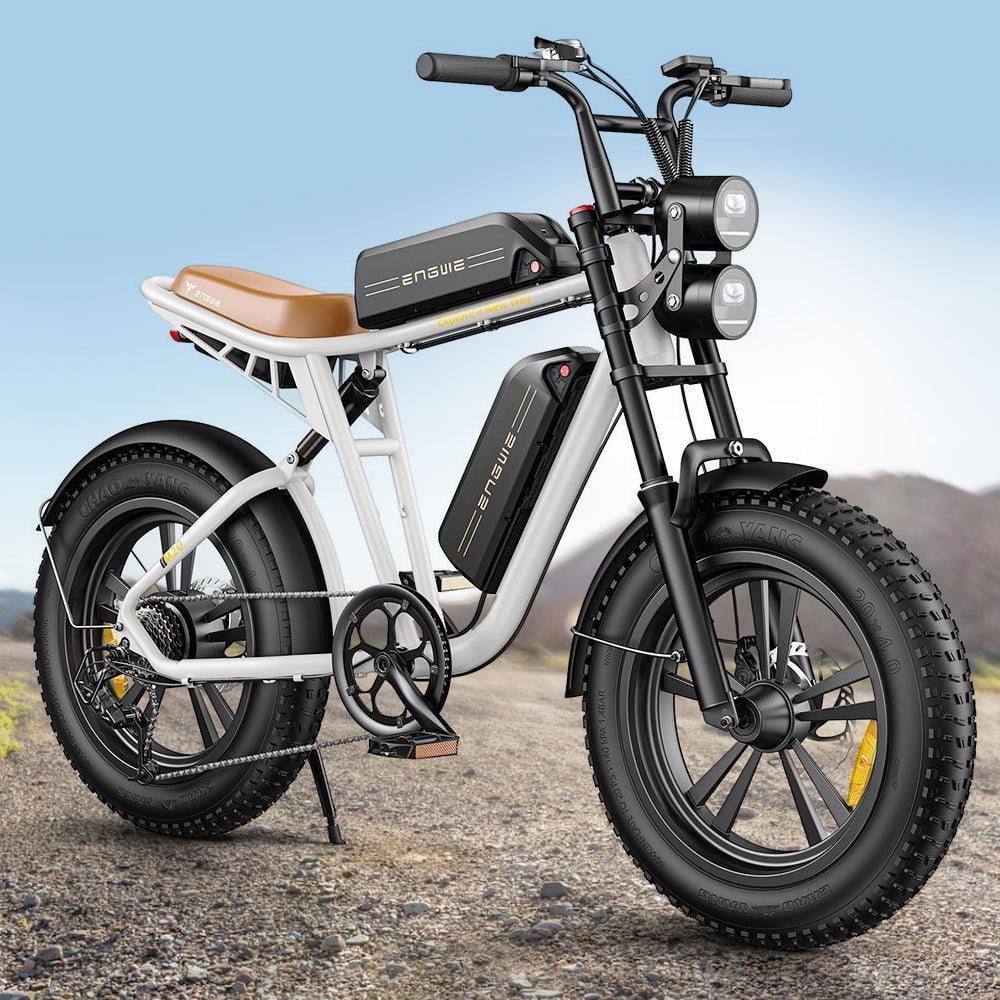 750W 20" Fat Tire Electric Bike with 48V/26Ah Battery F210780