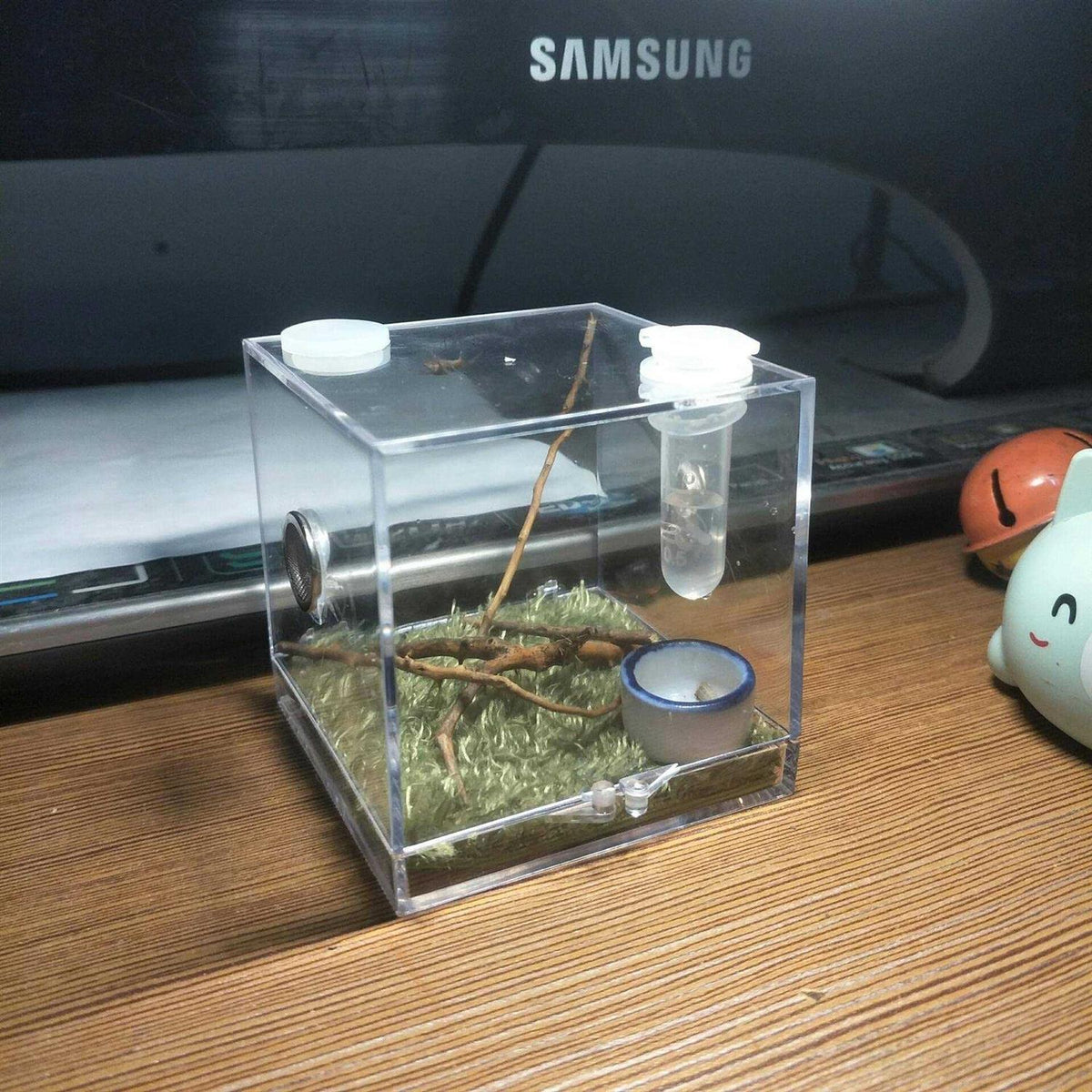 Acrylic Reptile Breeding Box with Dropper Tongs T53992
