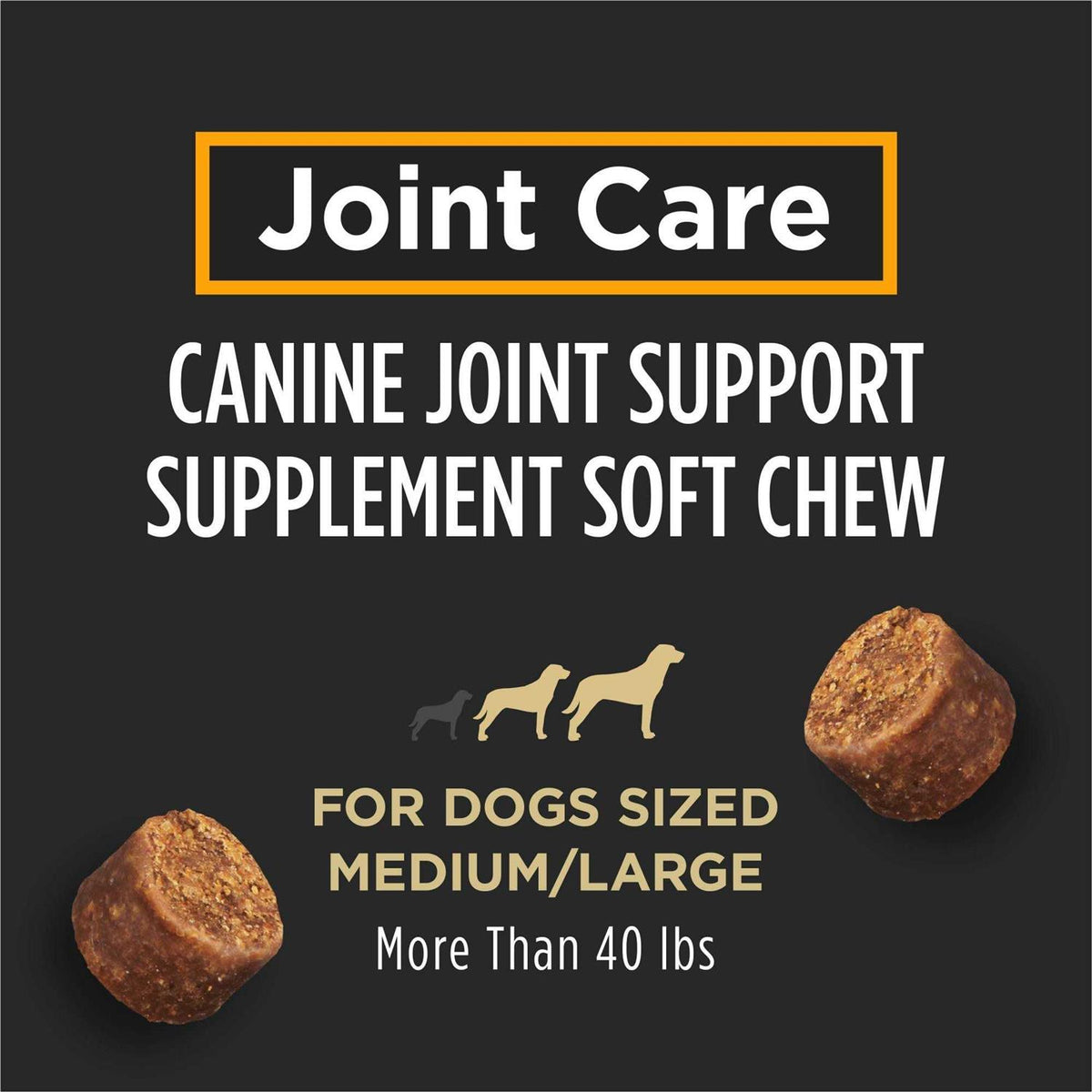 Joint Care Supplement V870