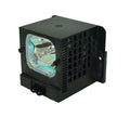 Replacement Lamp & Housing E820410