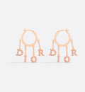 Earrings F379569