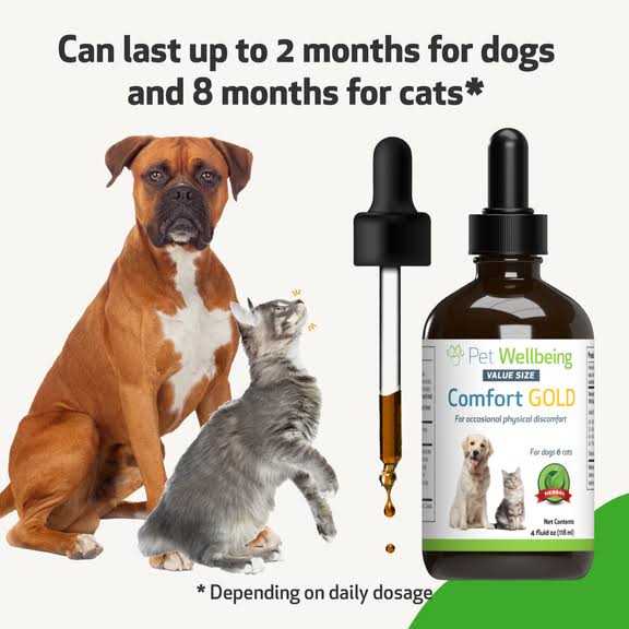 Comfort Gold for Cats U494
