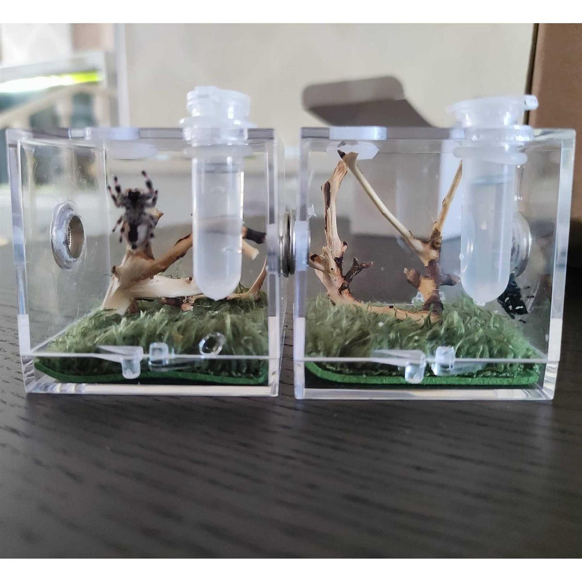 Acrylic Reptile Breeding Box with Dropper Tongs T53992