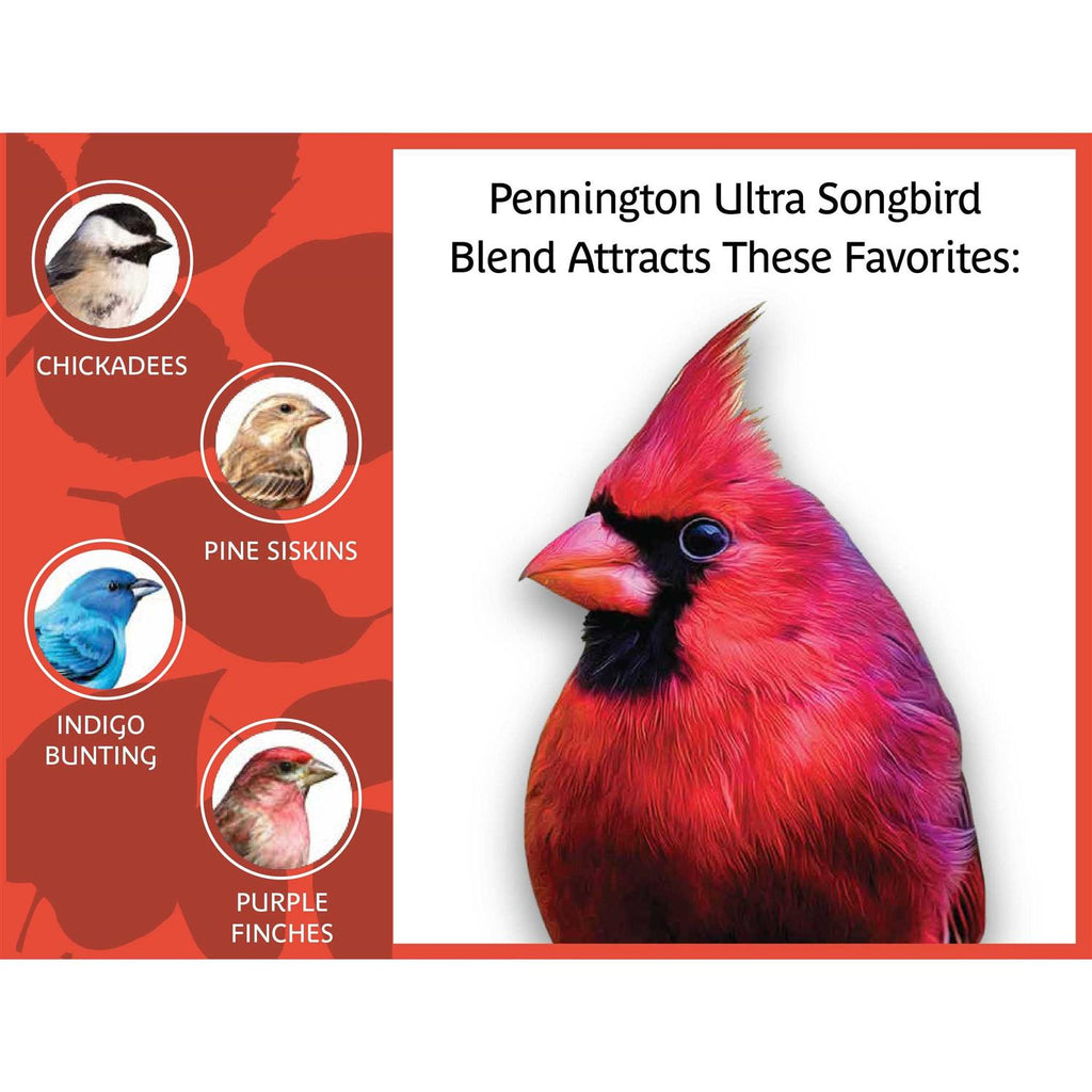 Songbird Blend Bird Seed Y97223