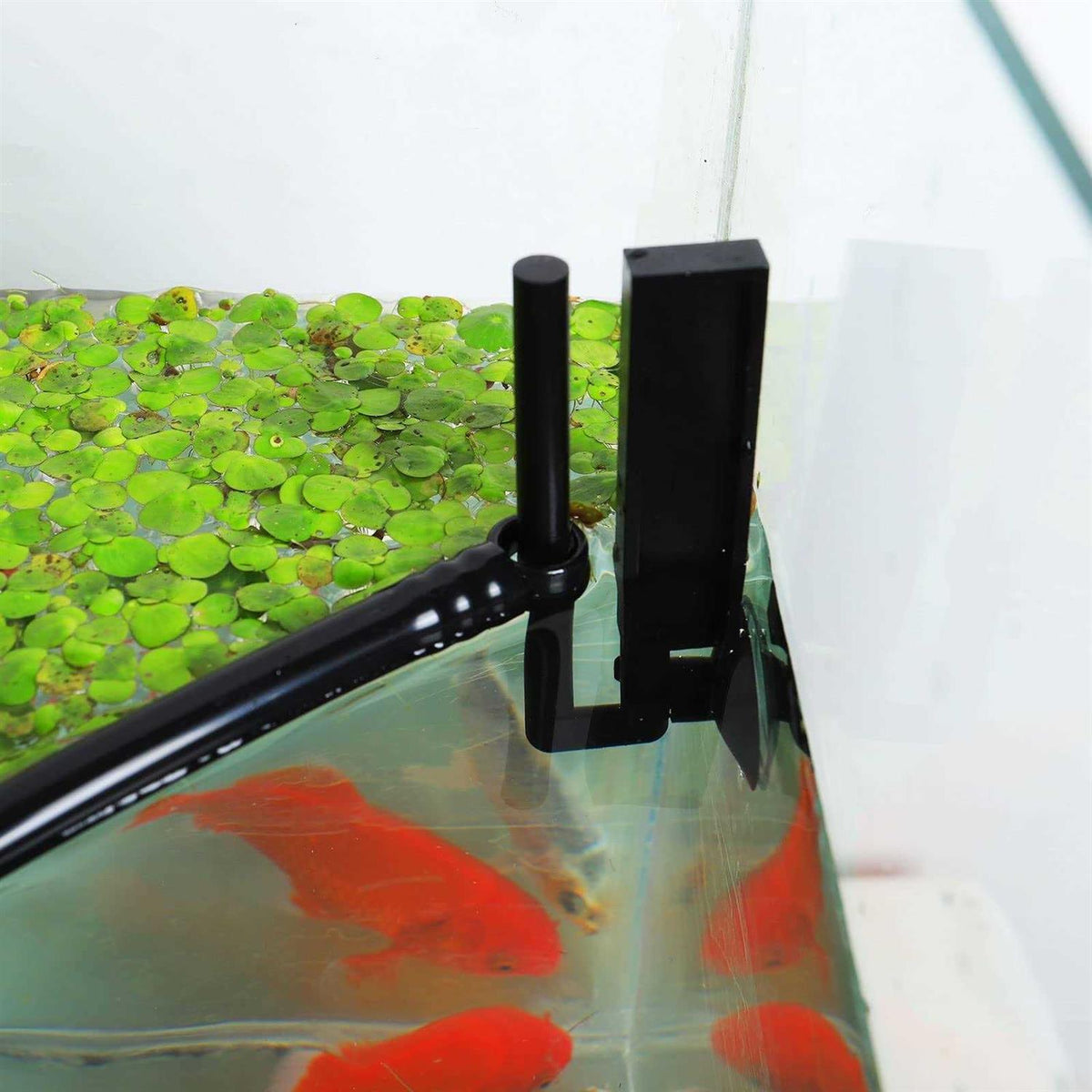 Aquarium Floating Plant Corral O75543