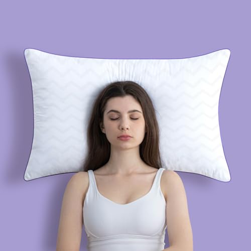 King Size Set of 2 Down Alternative Microfiber Bed Pillows Z279759