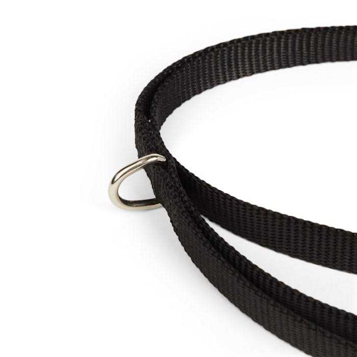 Dog Lead A8749