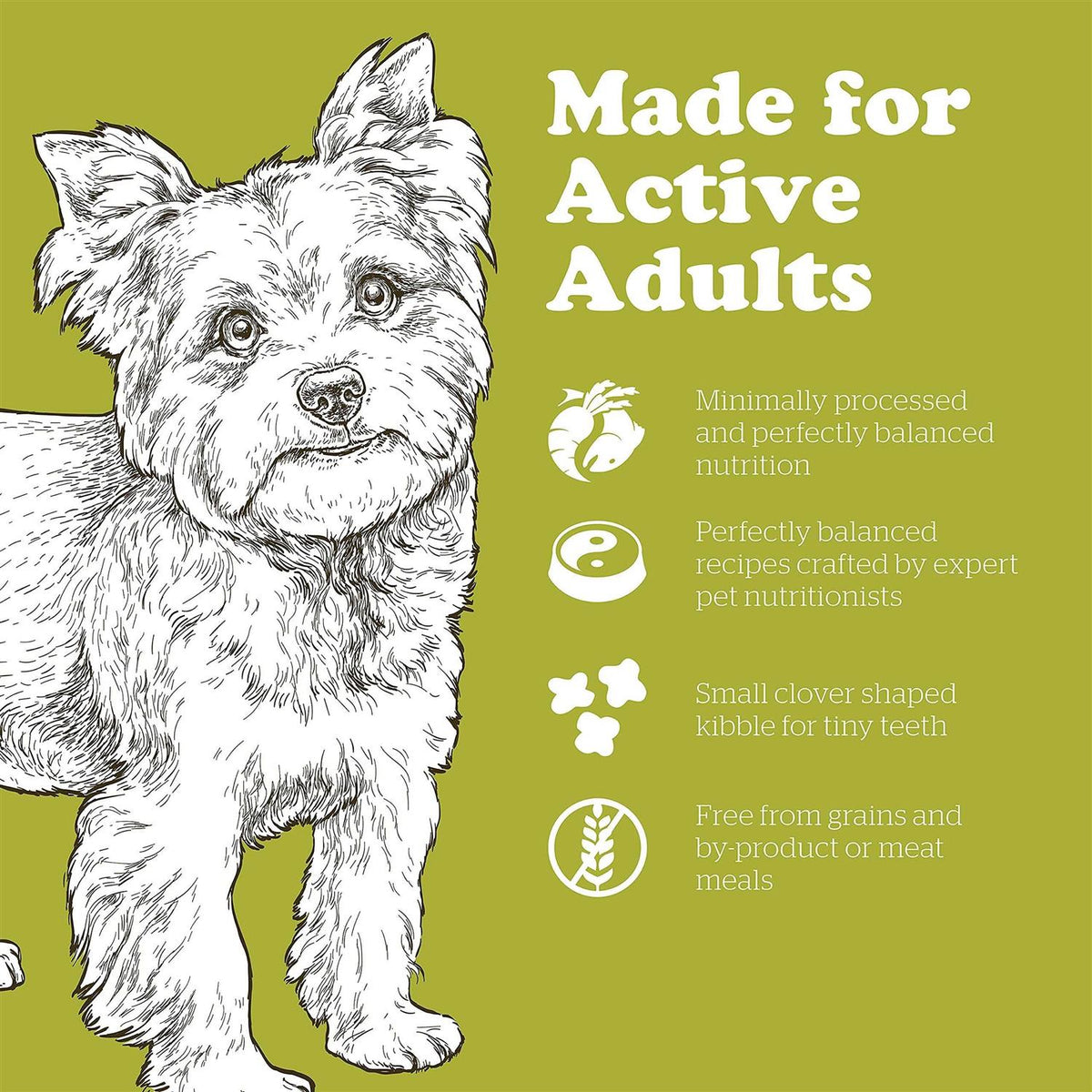 Grain-Free Small Breed Adult Recipe Dry Dog Food H136