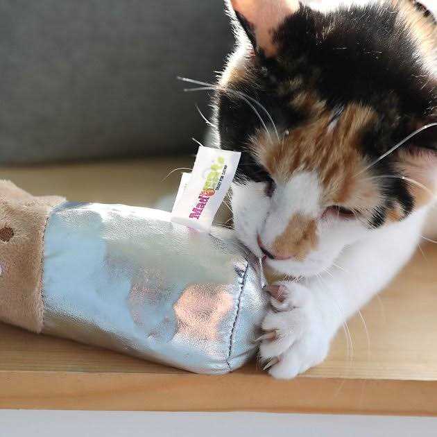Cat Toy N660