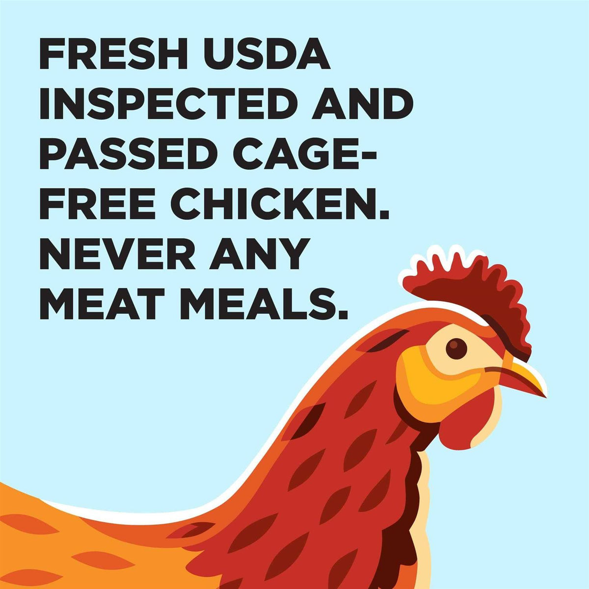 Grain Free Dry Dog Food Chicken O854