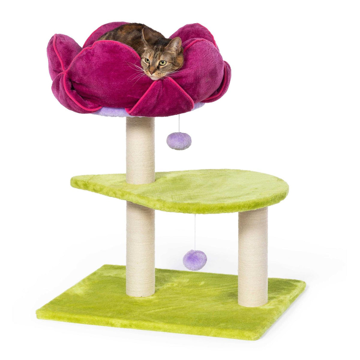 Pet Supplies Q1566