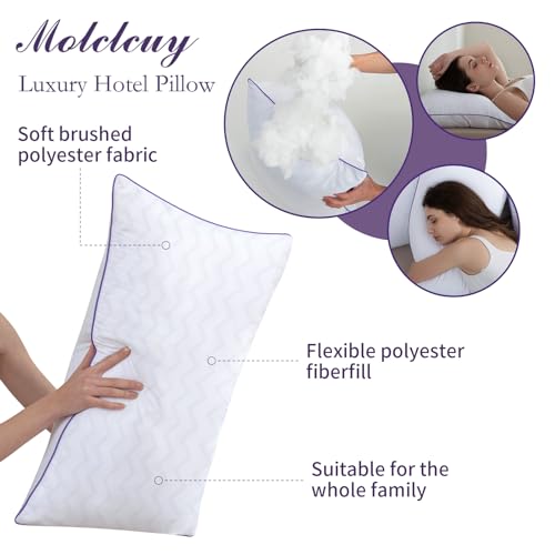 King Size Set of 2 Down Alternative Microfiber Bed Pillows Z279759