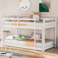 Twin Over Twin Bunk Bed with Guardrail and Ladder B182